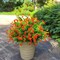 12 Bundles UV-Resistant Artificial Outdoor Flowers – Faux Silk & Plastic Plants for Window Box, Front Porch, Hanging Planters & Garden Decor (Orange Red)